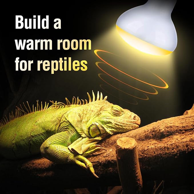 Leoterra 50w Reptile UVA Incandescent Basking Spot Light Bulbs and 50w Incandescent Night Black Heat Lamp Bulbs Combo Pack, for Bearded Dragon Snake Lizard Heating Lighting Use.120V E26 Base