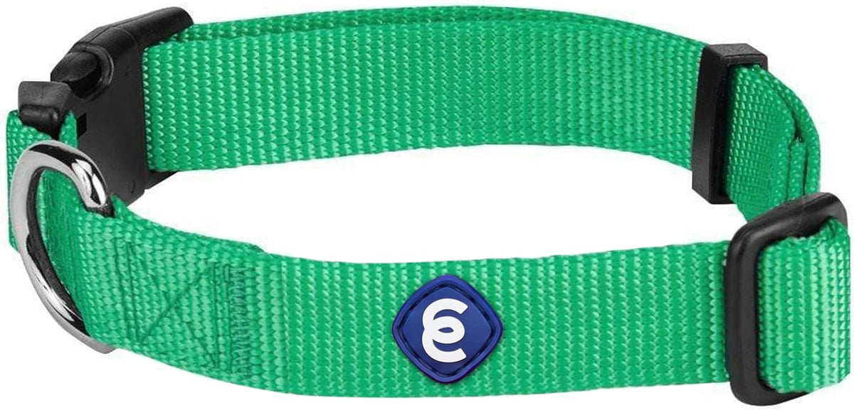 Blueberry Pet Essentials Large Dog Collar in Emerald | Adjustable & Eco-Friendly Durable Nylon Strap | Classic Collar for Large Dogs, Boy & Girl Pets