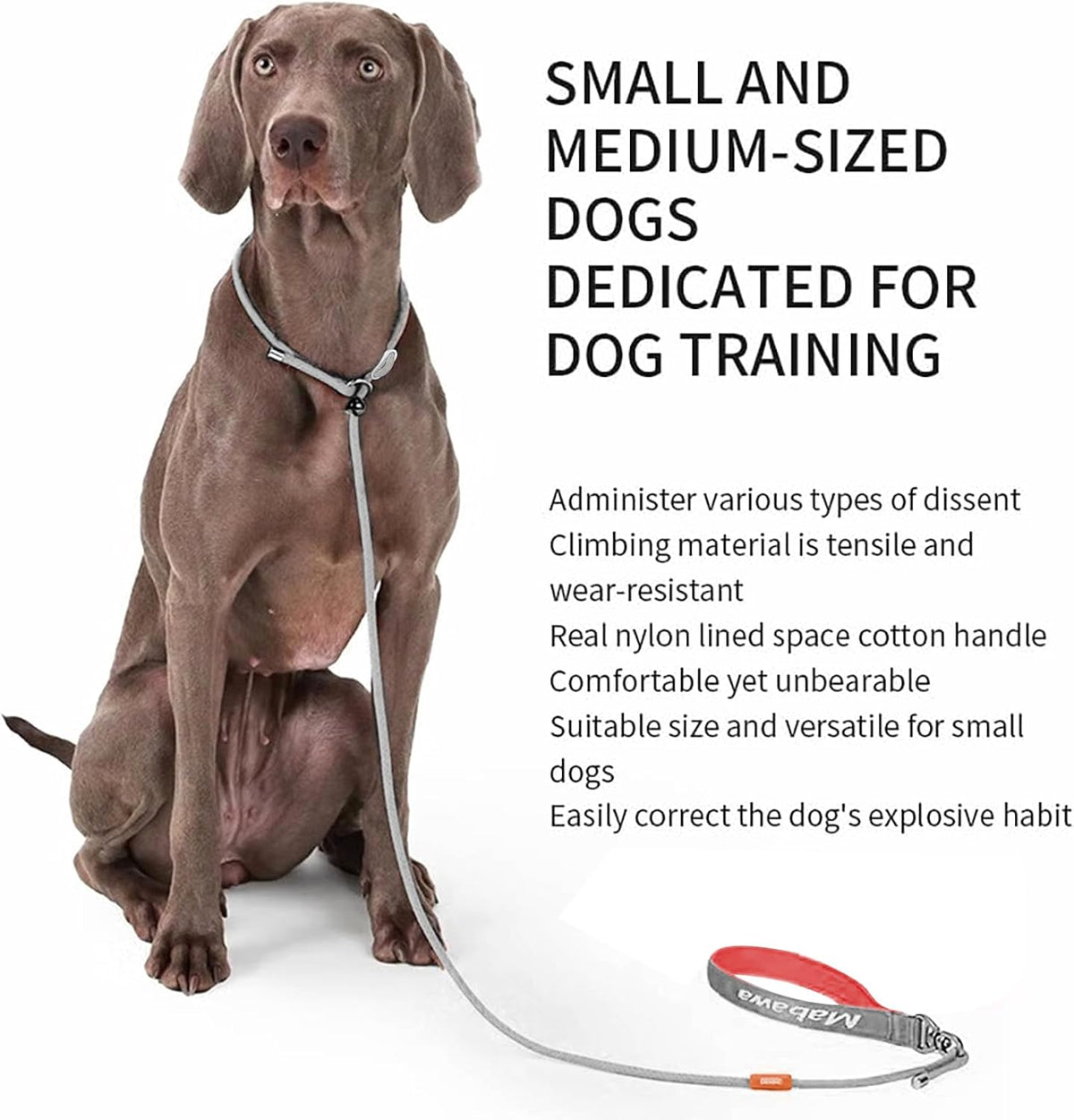 Dog Anti-Slip Leash 5FT with Metal Stopper - Durable No-Pull Training Lead for Small, Medium & Large Dogs - Comfortable Handle Nylon Rope, Tangle-Free Pet Walking Leash (Gray, 5.6FT)