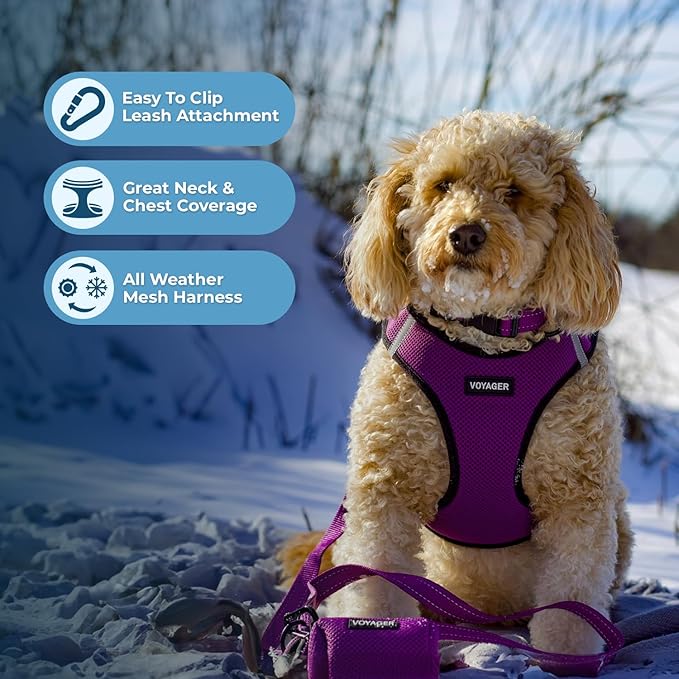 Best Pet Supplies Voyager Step-in Air Harness - All Weather Mesh, Reflective, No Pull Harness for Dogs, Cats - Secure with Hook & Loop Fastener, Buckle, Double D-Rings - Purple/Black Trim, L