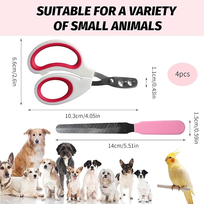 2 PCS Bearded Dragon Nail Clippers, Cat Nail Trimmer, Stainless Steel Cat Claw Clippers, with (White + Pink) Files * 2, Suitable for Reptiles, Novice Pet Families (Orange + Rose Red)
