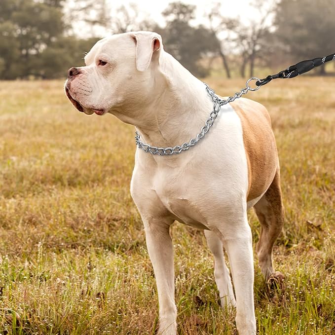 TagME Chain Choke Collar for Dogs, Adjustable Weather Proof Necklace for Medium Large Dogs, Alloy Steel Pet Training Collar