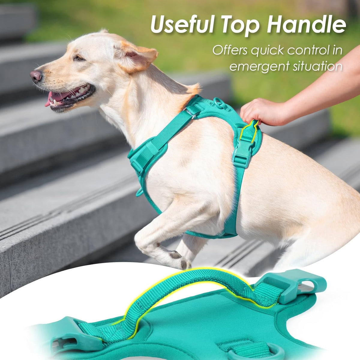No Pull Dog Harness, Puppy Vest with Front Clip for Small Medium Large Sized Dog(MARRS Green,XL)