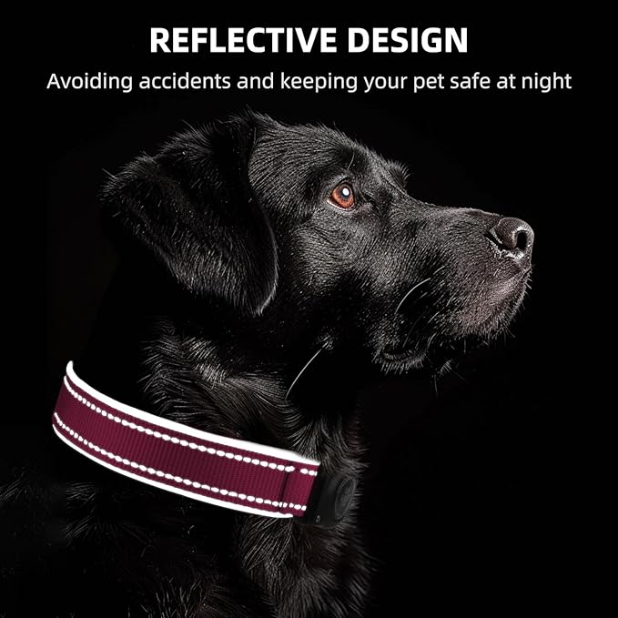 Airtag Dog Collar - 100% Waterproof Air tag Dog Collar Holder for Apple AirTag, Reflective, Soft Padded, Everlasting, GPS Dog Collar for Small Medium Large Dogs (Hot Pink, M)