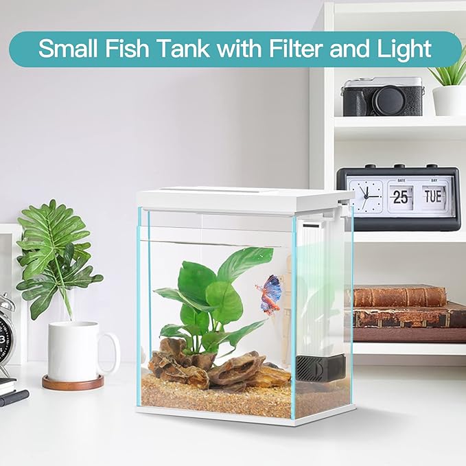 2 Gallon Glass Betta Fish Tank with Heater Filter and Light, Self-Cleaning Small Fish Tank Starter Kits.