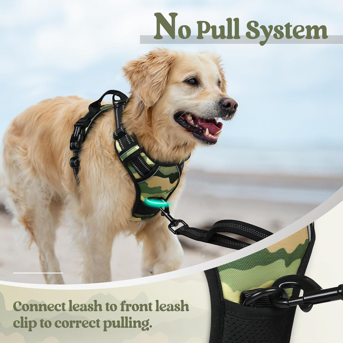 rabbitgoo Dog Harness No Pull with 2 Leash Clips, Adjustable Soft Padded, Reflective Oxford No Choke Pet Vest with Easy Control Handle for Large Dogs, Green Mountain,S