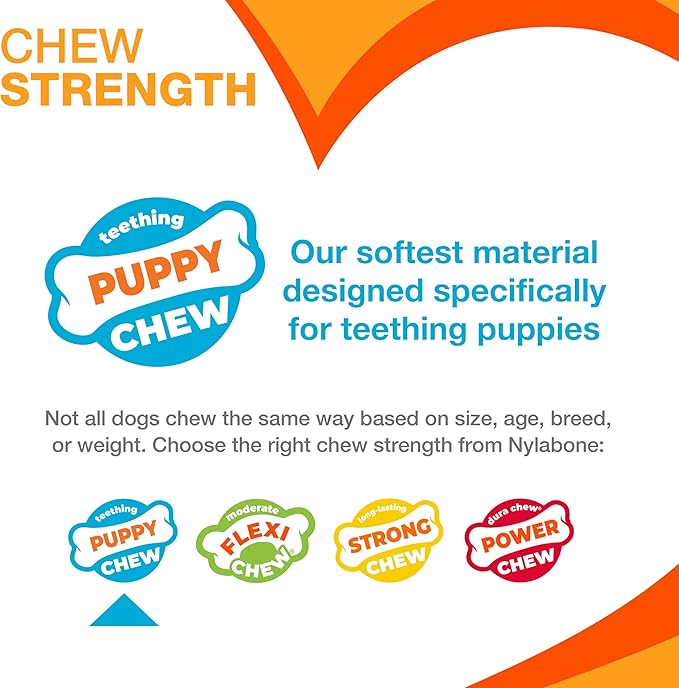 Nylabone Ring Bone Chew Toy for Puppies, Puppy Teething Toys, Puppy Enrichment Toys, Chicken Flavor, X-Small Dogs - Up to 15 lbs, 1 Count