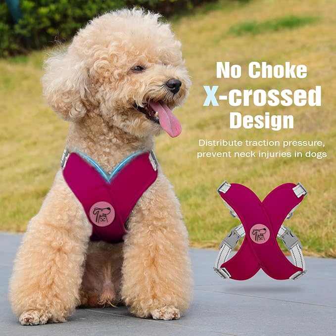 Pawaboo Small Dog Harness and Leash Set, Puppy Harness X-Frame No Pull No Choke, Dog Vest Harness Adjustable for Small Medium Sized Dogs, Soft Breathable Pet Harness for Walking Outing, S, Magenta