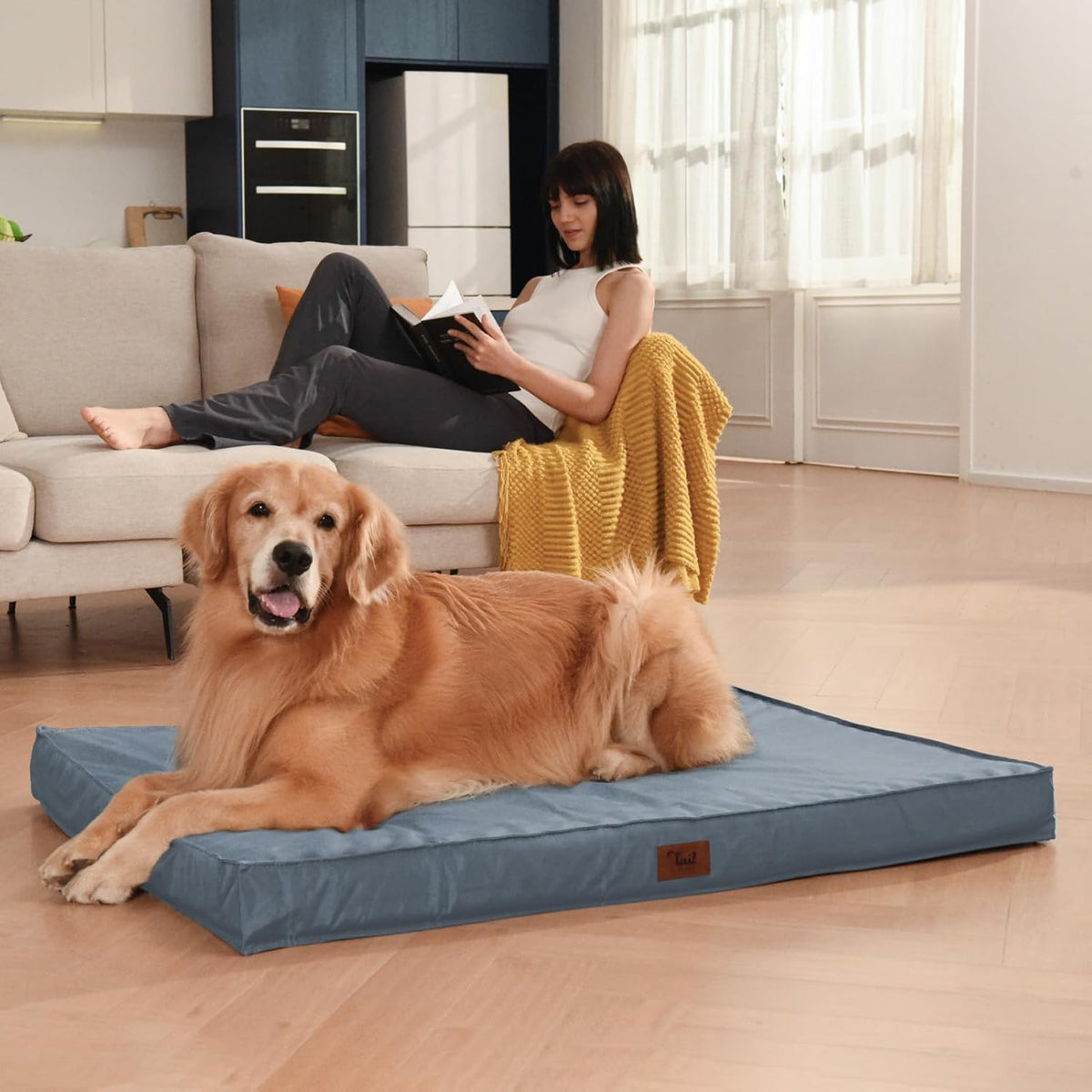 Outdoor Dog Bed for Extra Large Dogs, XL Dog Bed for Large Sized, Egg Crate Foam Dog Bed with Removable Washable Oxford Cooling Cover, Blue