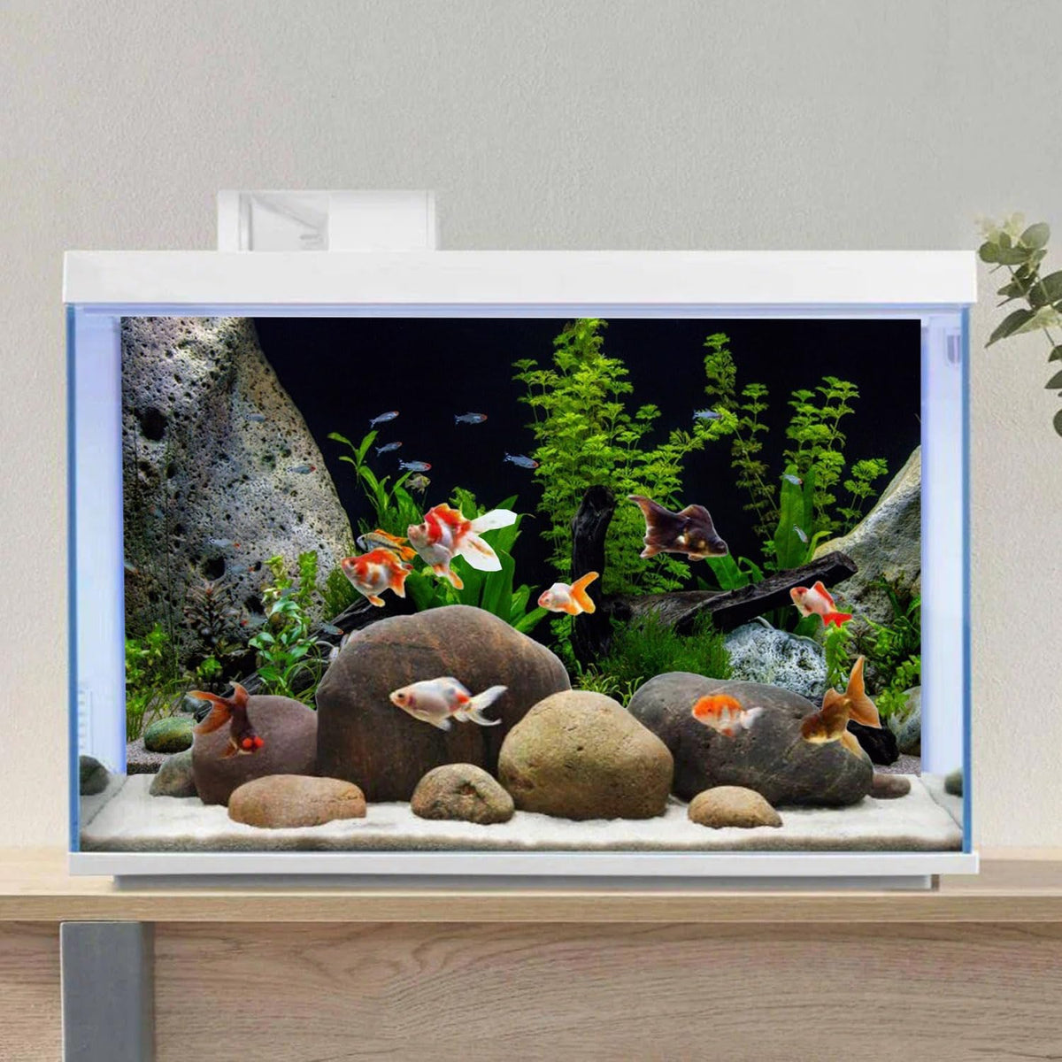 AWERT Vinyl Underwater Aquatic Plant Fish Tank Background Stone River Bed & Lake Aquarium Background 36x24 inches