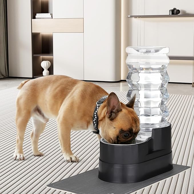 RIZZARI Large Water Dispenser for Dogs: 8L Gravity Black Automatic Stainless Steel Waterer - Raised Pet Feeder for Friendly Senior Medium to Large-Sized Dogs - Good for Spine - in Bedroom Garden
