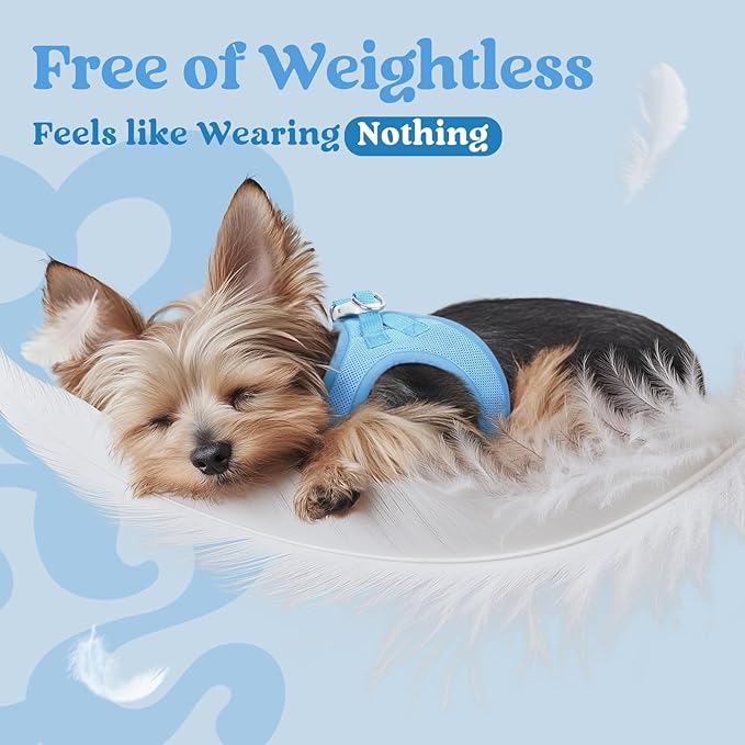 rabbitgoo Small Dog Harness, Step-in Soft Mesh Puppy Vest with Safety Buckle, Breathable Reflective Pet Harness for Extra Small Dogs, Blue XXXS