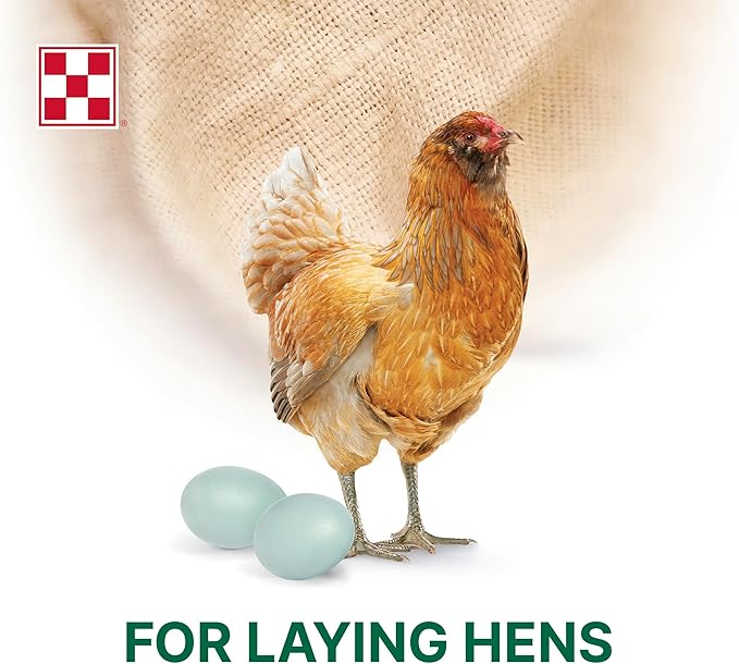 Purina Layena + High Protein Layer Chicken Feed (10 Pound)