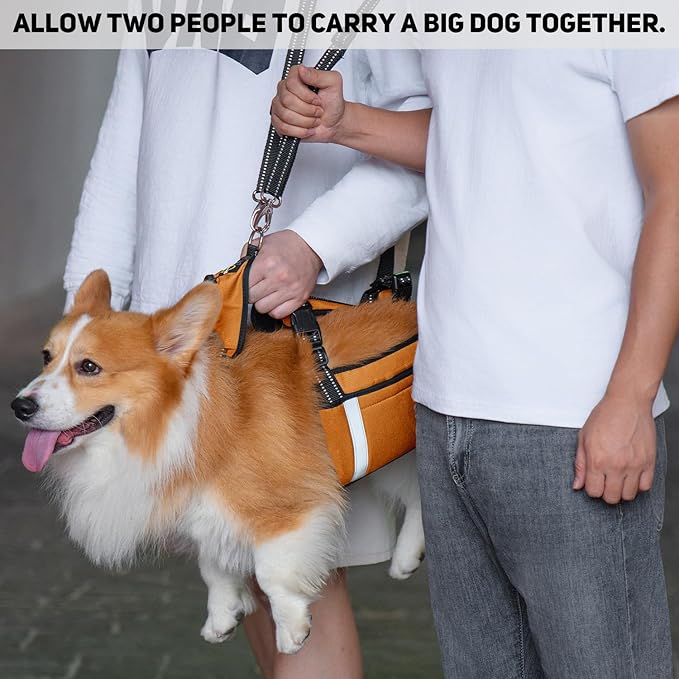 COODEO Mobility Dog Lift Harness, Emergency Carry Sling, Pet Rear Leg Support Rehabilitation Lifts Vest, Dog Carrier for Senior Dogs Joint Injuries, Arthritis (Orange, XL)