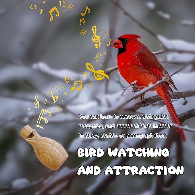 ZDH 9-Piece Wooden Bird Call Set – Handcrafted Bird-Call in Acrylic Wooden Box for Birdwatchers, Nature Lovers, Outdoor Exploration & Education All