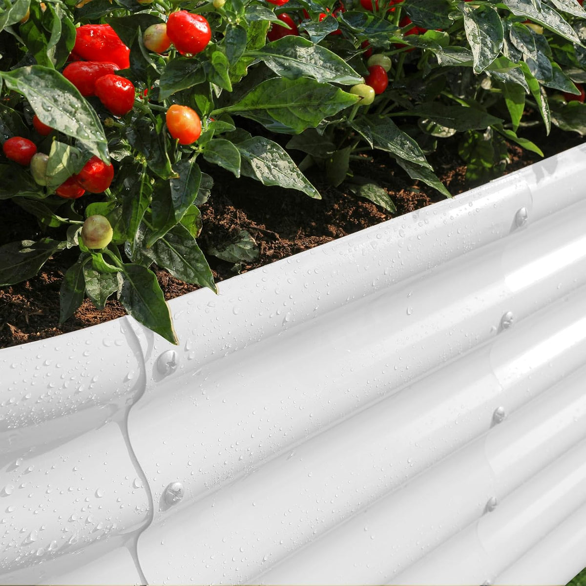 Land Guard 18“ Tall 4×2ft Galvanized Raised Garden Bed Kit, Galvanized Planter Garden Boxes Outdoor, Oval Large Metal Raised Garden Bed for Vegetables……… (Pearl White, 4×2×1.5ft)