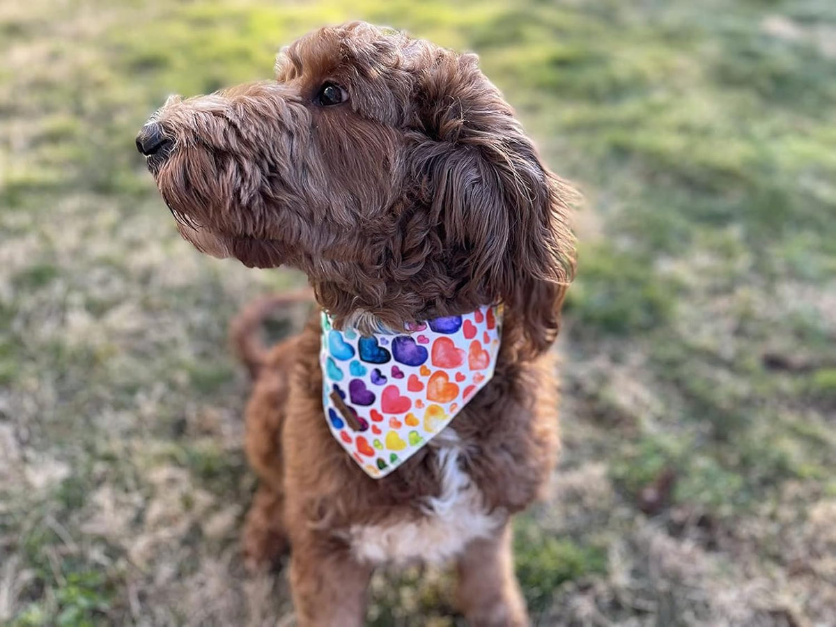 Lionet Paws Valentine's Dog Bandana,Fabric Love Dogs Kerchief for Medium Large Dogs,Dog Triangle Cotton Scarf for Girl Boy