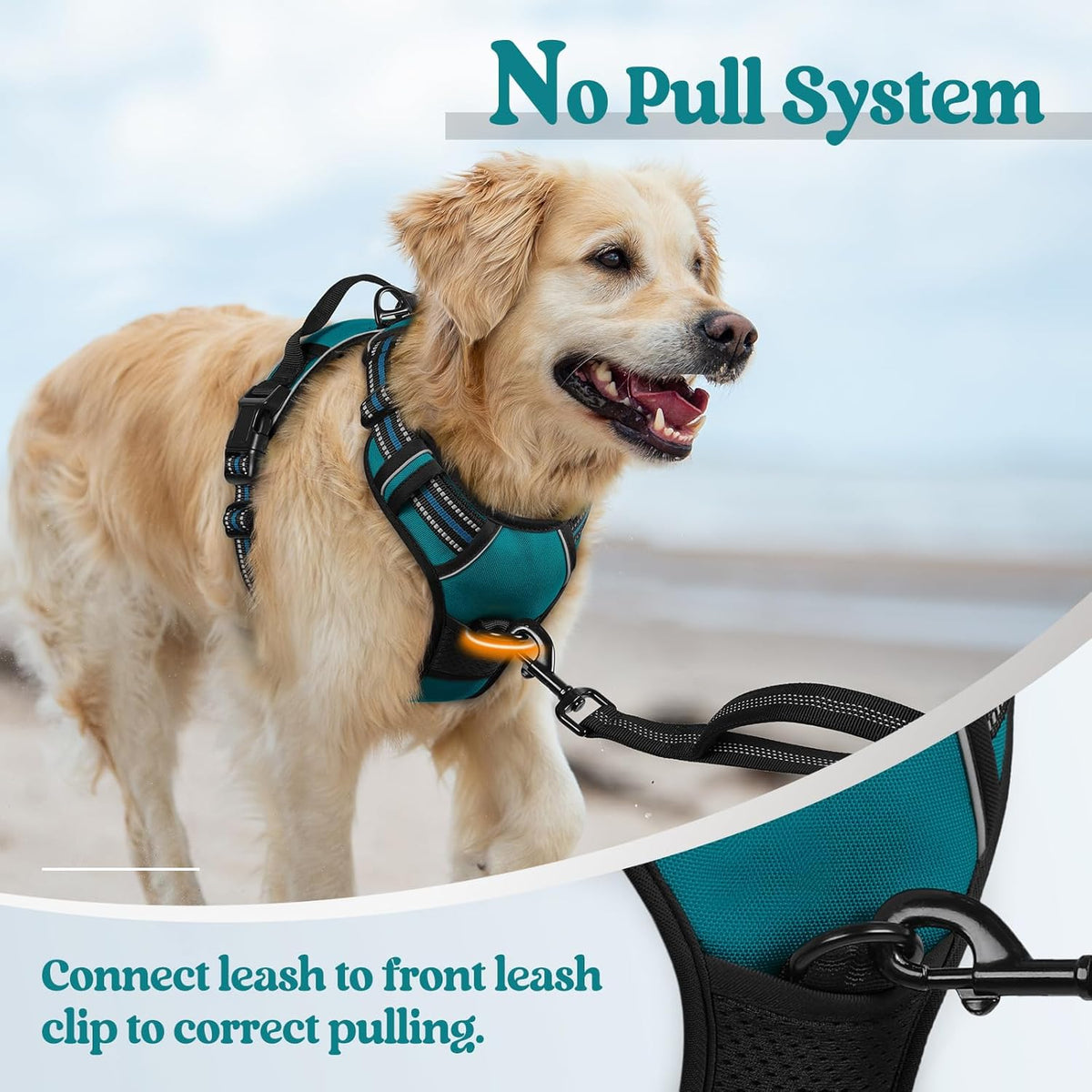 rabbitgoo Dog Harness No Pull with 2 Leash Clips, Adjustable Soft Padded, Reflective Oxford No Choke Pet Vest with Easy Control Handle for Large Dogs, Blue Coral, XL