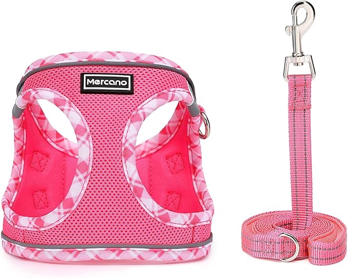 Mercano Soft Mesh Dog Harness and Leash Set, No-Chock Step-in Reflective Breathable Lightweight Easy Walk Vest Harnesses with Safety Buckle for Small Dogs, Cats (M, Fuchsia)