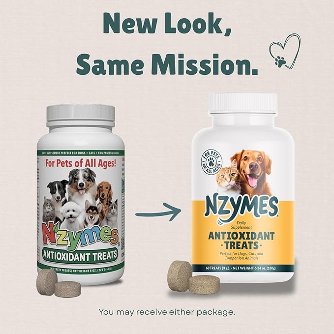 Nzymes® Antioxidant Treats - for Dogs Joints, HIPS, Paralysis, Skin, Coat, Hair Loss, Aging, Digestion, Neurological, Seizures - 60 Treats - Made in The USA
