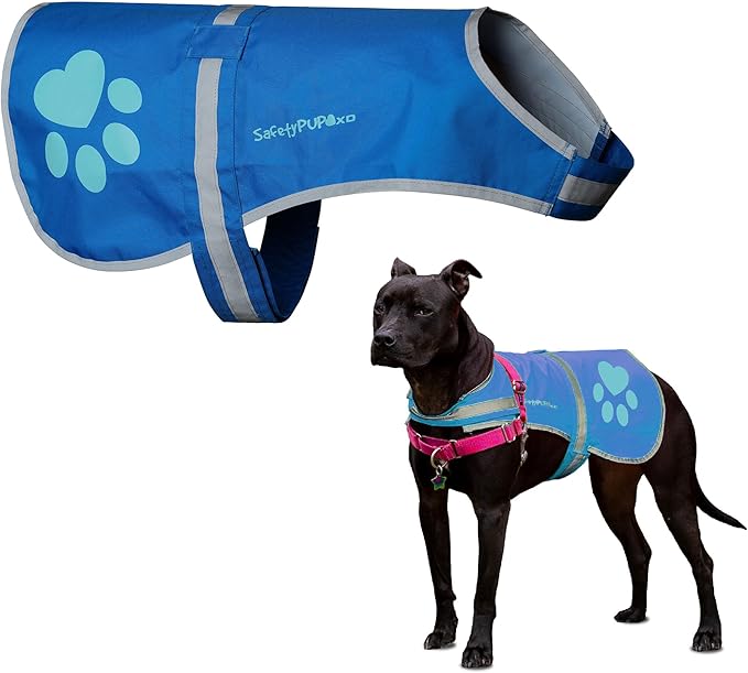 Dog Reflective Vest – Hi-Vis Fluorescent Visibility That Helps to Safeguard Your Pet On/Off Leash in Urban & Rural Areas (Blue, Large)
