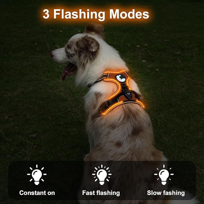 Taglory Light Up Dog Harness, Rechargeable No Pull Dog Vest with 3 Lightning Modes, Reflective Dog Harness with 2 Leash Clips & 4 Adjustable Slide Strips for Medium Dogs, Orange-Orange, M