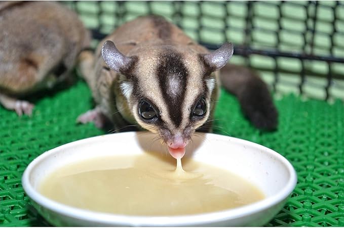 Honey & Fruit Instant-HPW (8 oz.) - All Natural Vitamin Enriched Sugar Glider Food - Healthy & Nutritious - High Protein Wombaroo - Staple Diet