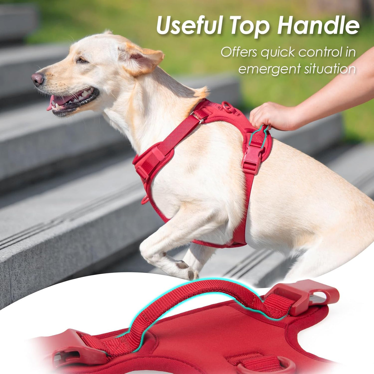 No Pull Dog Harness, Puppy Vest with Front Clip for Small Medium Large Sized Dog(Burgundy Red,M)