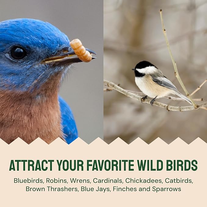 Dried Mealworms - 2 Lb Bag - High Protein Chicken Feed, Mealworms for Birds & Chickens - Meal Worms for Wild Birds & Turtles