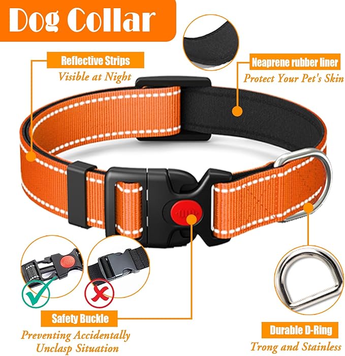 No Pull Dog Harness, Collar & Leash Set | Includes Dog Seat Belt, Collapsible Bowls & Poop Bag Dispenser. Ideal for Training, Walking, Hiking. Fits Small to Large Dogs(Orange-L)