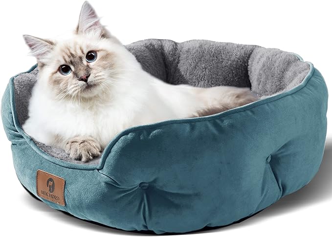 Asvin Medium Dog Bed for Medium Dogs, Cat Beds for Indoor Cats, Pet Bed for Puppy and Kitty, Extra Soft & Machine Washable with Anti-Slip & Water-Resistant Oxford Bottom, Teal, 25 inches