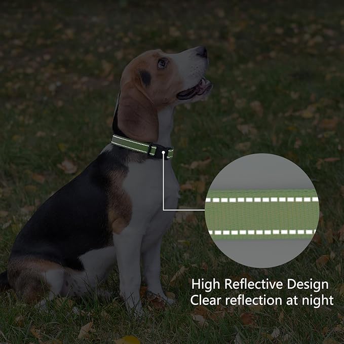 Reflective Dog Collar Padded with Soft Neoprene Breathable Quick Release Basic Dog Collars for Medium Dogs Green Boy Girl