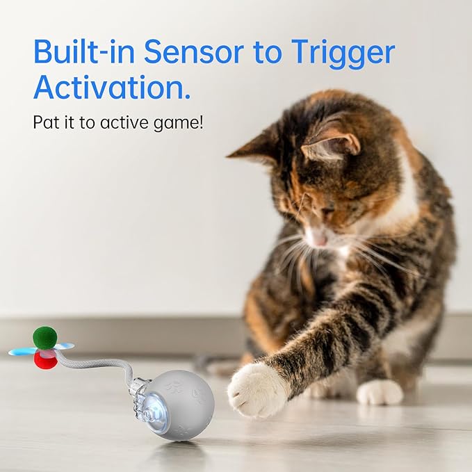Interactive Cat Toys for Indoor Cats - Kitten Toy with Speedy Tail 2.0, Automatic Cat Toys for Bored Indoor Adult Cats, Motion-Activated, 2025 New Upgraded, USB Rechargeable (Grey)