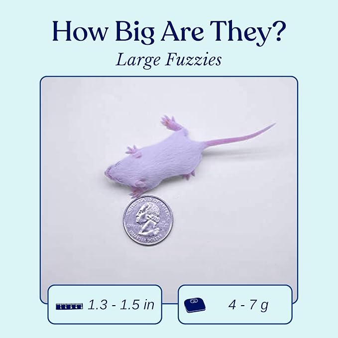 MiceDirect EST. 2003 200 Frozen Mice Fuzzie Feeders Snake Food for Juvenile Hognose Corn milks (1.25-1.5 in) (800 Grams Min)
