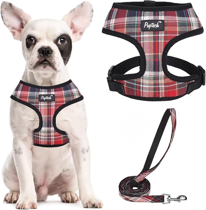 PUPTECK Soft Mesh Dog Harness and Leash Set Pet Puppy Cat Comfort Padded Vest No Pull Harnesses, Red Mixed, S