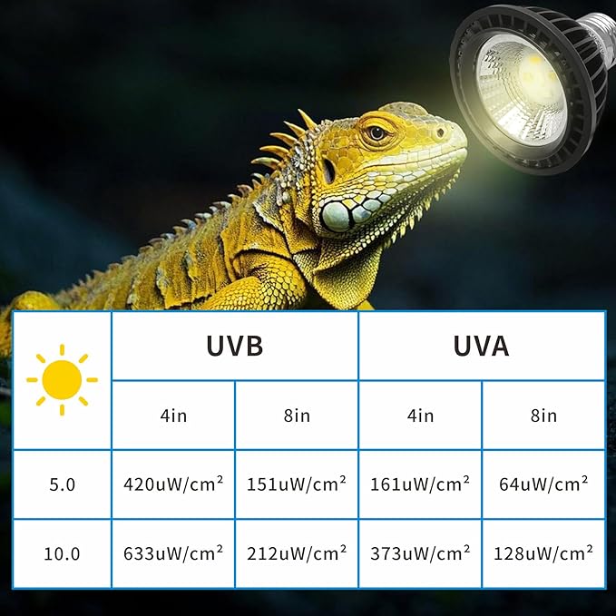 UVB Light Bulb for Reptiles, LED 3W 10.0 UVA UVB Heat Lamp Bulbs Ideal for Rainforest Reptiles, Bearded Dragons Lizard Turtle Tortoise Iguanas Chameleons Snake (1 Pack)