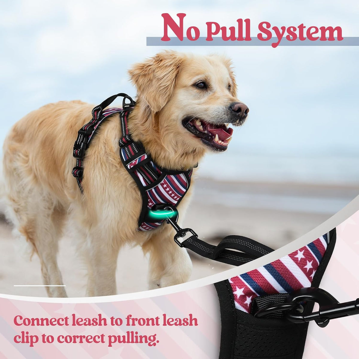 rabbitgoo Dog Harness No Pull with 2 Leash Clips, Adjustable Soft Padded, Reflective Oxford No Choke Pet Vest with Easy Control Handle for Large Dogs, Red Stripe, M