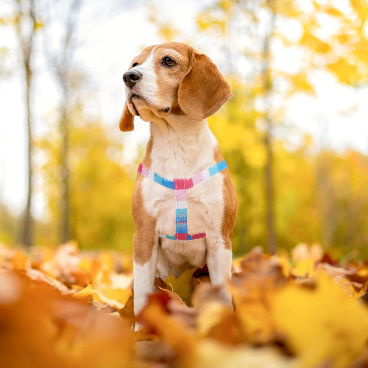 PUPTECK No Pull Dog Harness Soft Adjustable Basic Nylon Step in Puppy Vest Outdoor Walking with ID Tag, Striped Pink, M