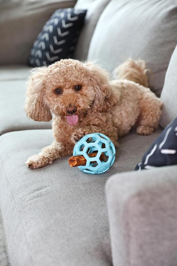 JW Pet HOL-ee Roller™, Dog Toy Puzzle Ball, Natural Rubber, Medium (4.5” Inch Diameter), Blue