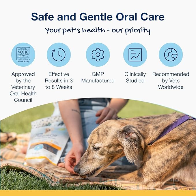 ProDen PlaqueOff System Dental Care Bones for Dogs - Dog Breath Freshener & Plaque Remover - Dog Teeth Cleaning for a Healthy Mouth - Turkey Cranberry Flavor - 17 oz