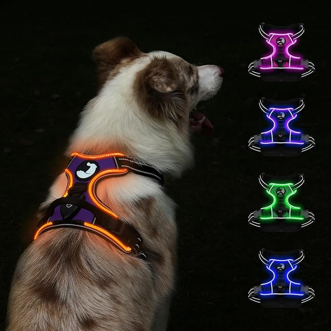 Taglory Light Up Dog Harness, Rechargeable No Pull Dog Vest with 3 Lightning Modes, Reflective Dog Harness with 2 Leash Clips & 4 Adjustable Slide Strips for Large Dogs, Purple-Orange, L