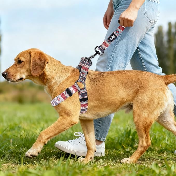 QQPETS Dog Harness Leash Set Adjustable Heavy Duty No Pull Halter Harnesses for Small Medium Large Breed Dogs Back Clip Anti-Twist Perfect for Walking
