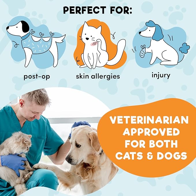 BENCMATE Inflatable Dog Cone Collar Alternative, Soft Dog Cone for Small Medium Large Dogs and Cats, Neck Recovery ECollar Donut Collar After Surgery (Medium, Purple)