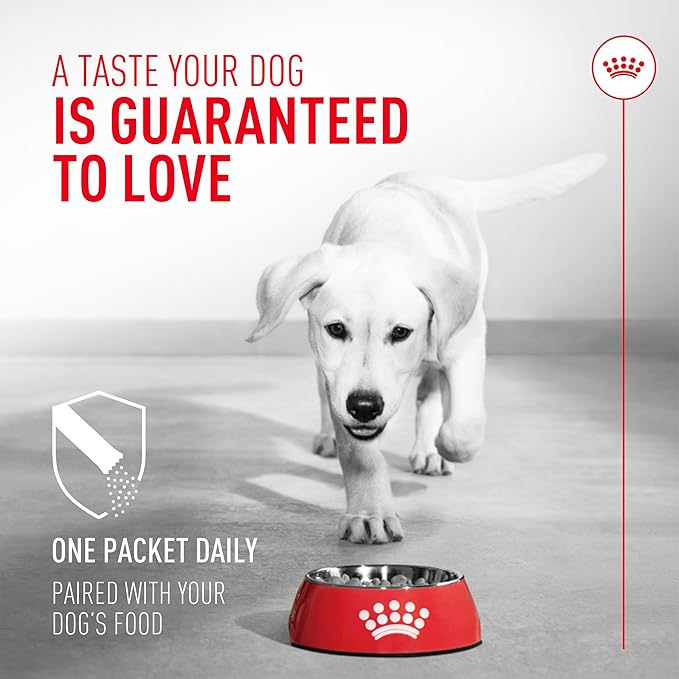 Royal Canin Probiotics for Dogs Digestive and Immune Health Powder Supplement for Dogs of All Ages, 7 Count