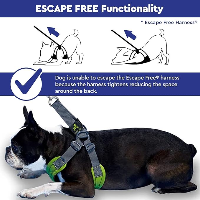 Gooby Escape Free Easy Fit Harness - Blue, Small - No Pull Step-in Patented Dog Harness with Quick Release Buckle for Small to Medium Dogs