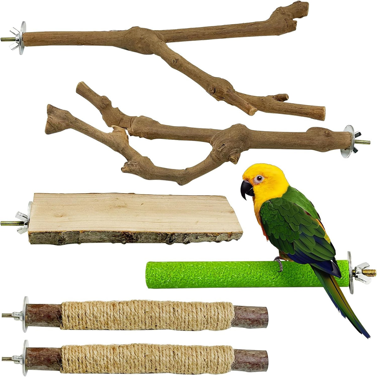 kathson 5pcs Natural Parrot Perch for Cage Wooden Bird Perches Grape Bird Stick Parakeet Climbing Standing Branches Toy Chewable Cage Accessories for Small Budgies Cockatiels Lovebirds Budgies