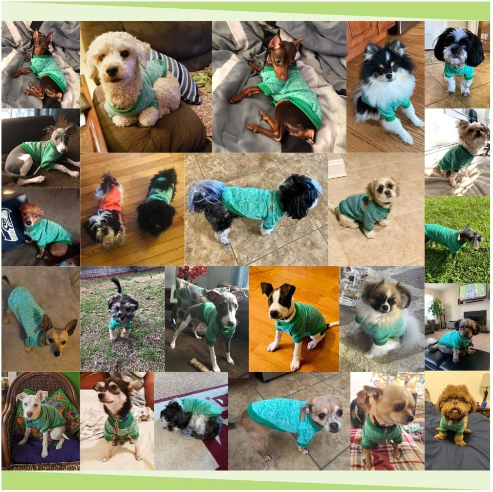 Jecikelon Dog Clothes Dogs Sweater Soft Puppies Clothing Winter Puppy Sweaters Warm Outfit for Dogs Small XXS XS Cat Apparel (Green, XL)
