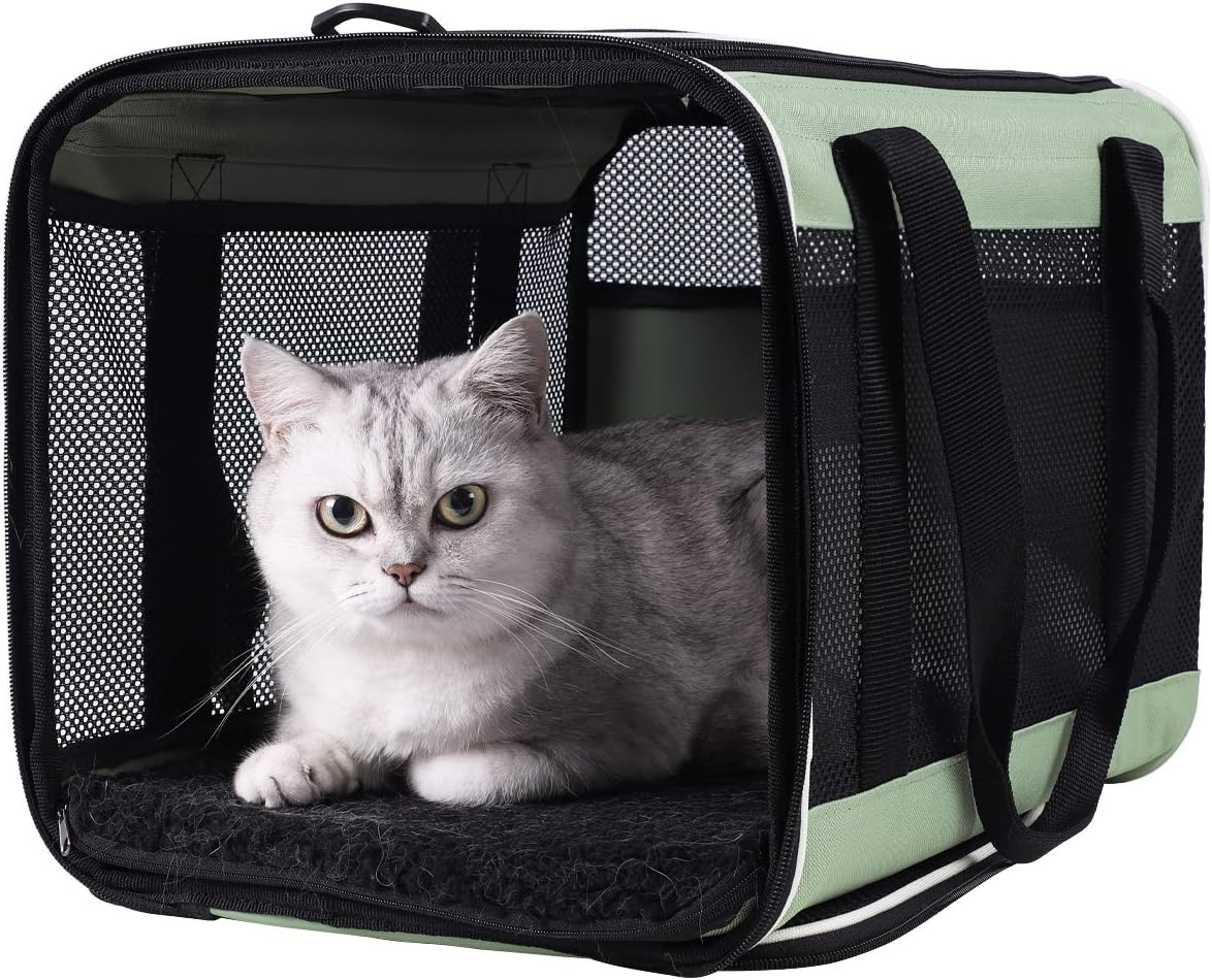petisfam Easy Load Pet Carrier for Large, Medium Cats, 2 Cats and Small Dogs with Comfy Bed. Easy to Get Cat in, Escape Proof, Easy Storage, Washable, Safe and Comfortable for Vet Visit and Car Ride