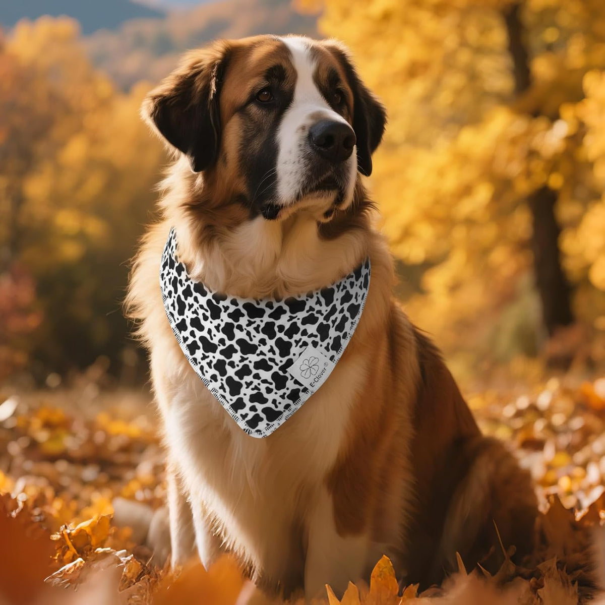 E-Clover Cow Print Dog Bandanas & Matching Scrunchie Set Fall Cowboys Theme Dog Scarf Bibs Pet Bandana with Bow Tie for Small Dogs Puppy Owner Mom Black White