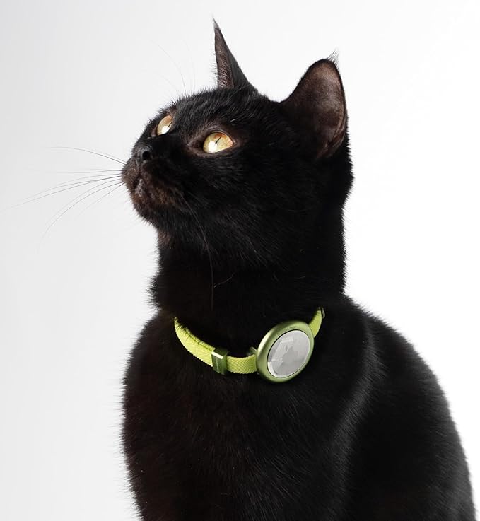 Safety Cat Collar Pro - U.S. IDA Gold Awarding Design, Elastic Quick Release Cat Collar with Buckle Non Breakaway - Lightweight for Kitten All Small Large Cats (Sierra Blue, M 7.9-15.7")